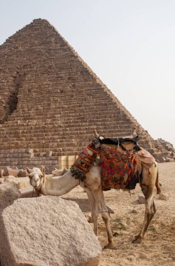 Giza Piramit Kompleksi (ayrıca Giza Necropolis olarak da bilinir) Mısır 'ın başkenti Kahire' deki Giza Platosu 'nda yer alır.