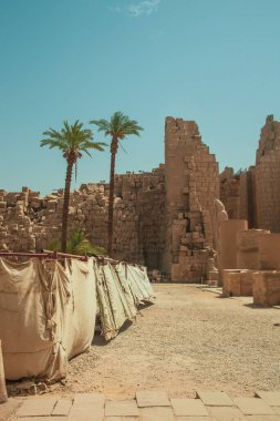 Deir el-Bahari ya da Dayr al-Bahri, Mısır 'ın başkenti Luxor' un batı kıyısında yer alan bir morg tapınağı ve mezar kompleksi.