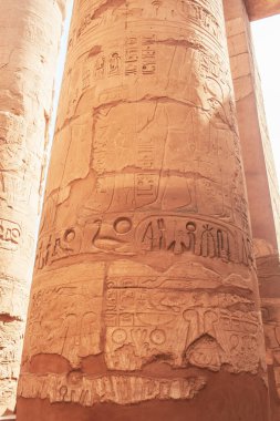 Deir el-Bahari ya da Dayr al-Bahri, Mısır 'ın başkenti Luxor' un batı kıyısında yer alan bir morg tapınağı ve mezar kompleksi.