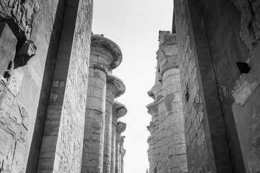 Deir el-Bahari ya da Dayr al-Bahri, Mısır 'ın başkenti Luxor' un batı kıyısında yer alan bir morg tapınağı ve mezar kompleksi.