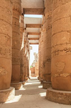 Deir el-Bahari ya da Dayr al-Bahri, Mısır 'ın başkenti Luxor' un batı kıyısında yer alan bir morg tapınağı ve mezar kompleksi.