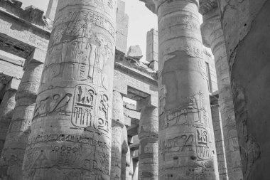 Deir el-Bahari ya da Dayr al-Bahri, Mısır 'ın başkenti Luxor' un batı kıyısında yer alan bir morg tapınağı ve mezar kompleksi.