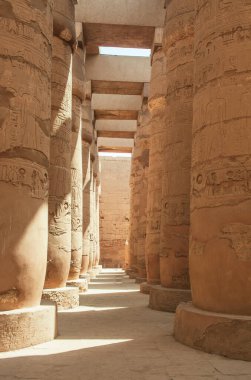 Deir el-Bahari ya da Dayr al-Bahri, Mısır 'ın başkenti Luxor' un batı kıyısında yer alan bir morg tapınağı ve mezar kompleksi.