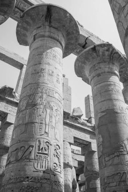 Deir el-Bahari ya da Dayr al-Bahri, Mısır 'ın başkenti Luxor' un batı kıyısında yer alan bir morg tapınağı ve mezar kompleksi.