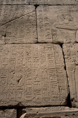 Deir el-Bahari ya da Dayr al-Bahri, Mısır 'ın başkenti Luxor' un batı kıyısında yer alan bir morg tapınağı ve mezar kompleksi.