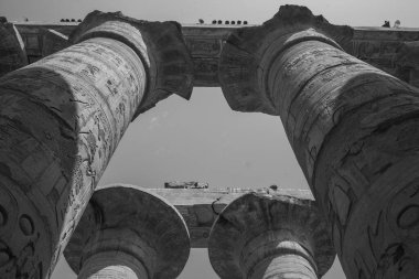 Deir el-Bahari ya da Dayr al-Bahri, Mısır 'ın başkenti Luxor' un batı kıyısında yer alan bir morg tapınağı ve mezar kompleksi.