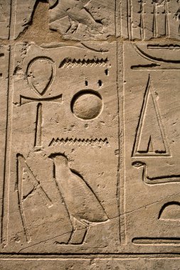 Deir el-Bahari ya da Dayr al-Bahri, Mısır 'ın başkenti Luxor' un batı kıyısında yer alan bir morg tapınağı ve mezar kompleksi.