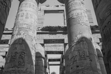 Deir el-Bahari ya da Dayr al-Bahri, Mısır 'ın başkenti Luxor' un batı kıyısında yer alan bir morg tapınağı ve mezar kompleksi.