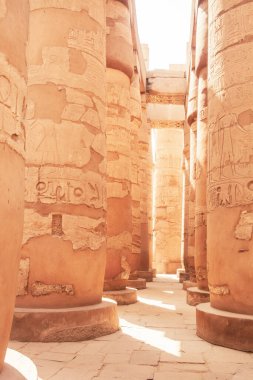 Deir el-Bahari ya da Dayr al-Bahri, Mısır 'ın başkenti Luxor' un batı kıyısında yer alan bir morg tapınağı ve mezar kompleksi.