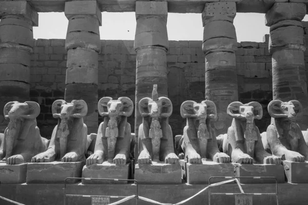 Deir Bahari Dayr Bahri Complexo Templos Mortuários Túmulos Localizados Margem — Fotografia de Stock