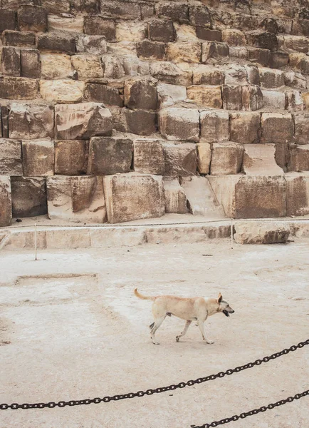 Der Pyramidenkomplex Von Gizeh Auch Nekropole Von Gizeh Genannt Befindet — Stockfoto