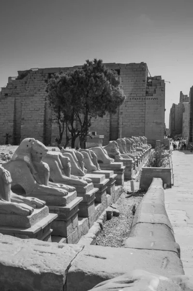 Deir Bahari Dayr Bahri Complexo Templos Mortuários Túmulos Localizados Margem — Fotografia de Stock