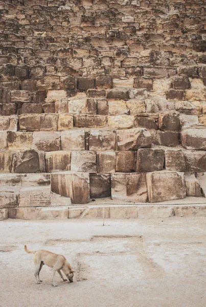 Der Pyramidenkomplex Von Gizeh Auch Nekropole Von Gizeh Genannt Befindet — Stockfoto