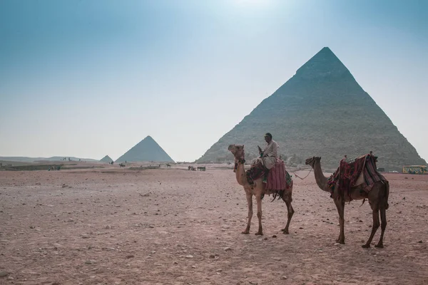 Beautiful Landscape Desert Sahara Man Camels — Stock Photo, Image