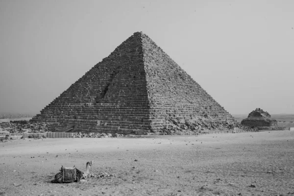Kompleks Piramid Gizie Zwany Także Nekropolią Gizie Jest Miejscem Płaskowyżu — Zdjęcie stockowe