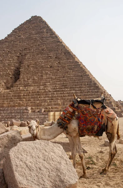 Giza Piramit Kompleksi Ayrıca Giza Necropolis Olarak Bilinir Mısır Başkenti — Stok fotoğraf