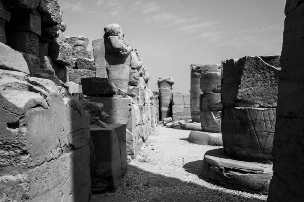 Deir Bahari Dayr Bahri Est Complexe Temples Mortuaires Tombes Situé — Photo