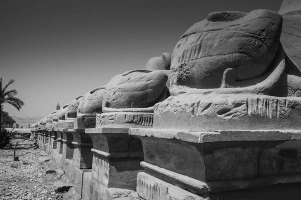 Deir Bahari Deir Bahri Complejo Templos Mortuorios Tumbas Situado Orilla —  Fotos de Stock