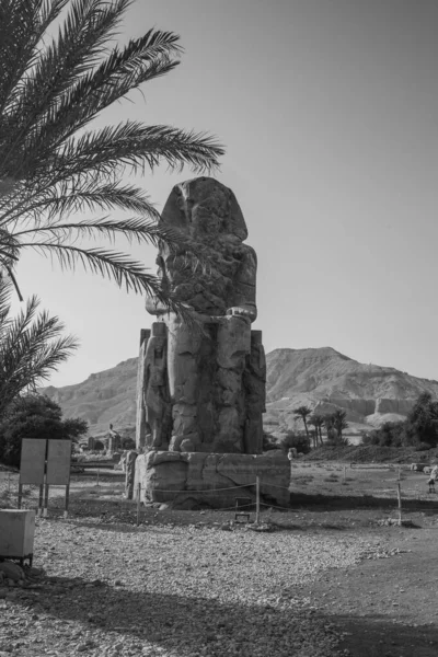 Los Colosos Memnon Son Dos Estatuas Monumentales Que Representan Amenhotep — Foto de Stock