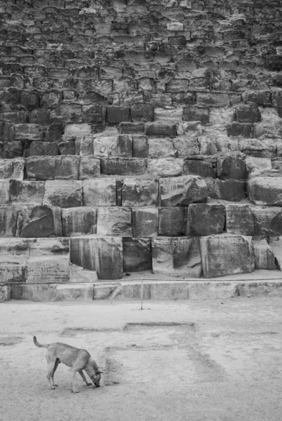 Giza Piramit Kompleksi Ayrıca Giza Necropolis Olarak Bilinir Mısır Başkenti — Stok fotoğraf