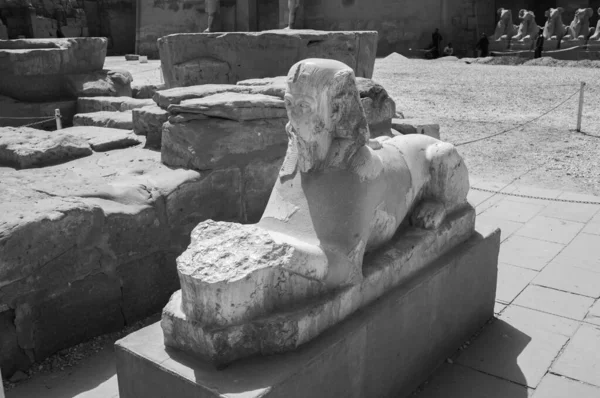Deir Bahari Dayr Bahri Est Complexe Temples Mortuaires Tombes Situé — Photo