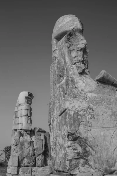 멤논의 콜로시는 아멘호테프 기원전 1386 1353 상징하는 기념비적 조각상이다 — 스톡 사진