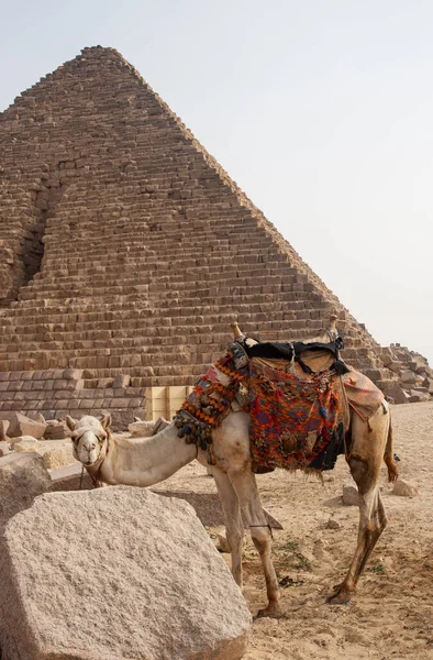 Giza Piramit Kompleksi Ayrıca Giza Necropolis Olarak Bilinir Mısır Başkenti — Stok fotoğraf