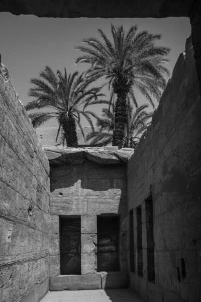 Deir Bahari Dayr Bahri Mısır Başkenti Luxor Batı Kıyısında Yer — Stok fotoğraf