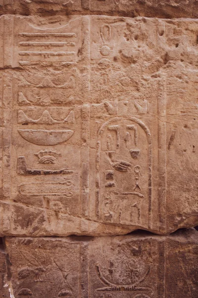 代尔巴哈里 Deir Bahari或Dayr Bahri 是一座由位于埃及卢克索市对面尼罗河西岸的庙宇和坟墓组成的建筑群 — 图库照片