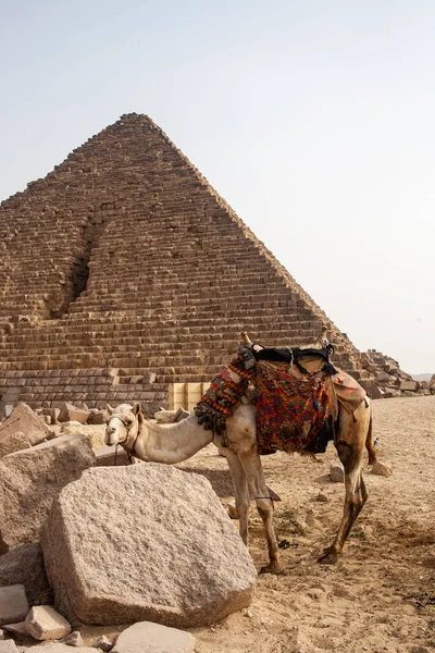 Giza Piramit Kompleksi Ayrıca Giza Necropolis Olarak Bilinir Mısır Başkenti — Stok fotoğraf