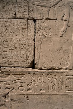 Deir el-Bahari ya da Dayr al-Bahri, Mısır 'ın başkenti Luxor' un batı kıyısında yer alan bir morg tapınağı ve mezar kompleksi.