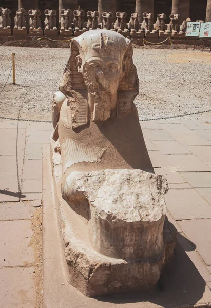 代尔巴哈里 Deir Bahari或Dayr Bahri 是一座由位于埃及卢克索市对面尼罗河西岸的庙宇和坟墓组成的建筑群 — 图库照片