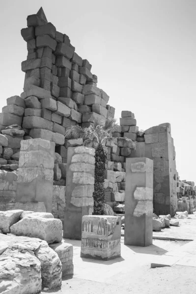 Deir Bahari Dayr Bahri Complesso Templi Funerari Tombe Situati Sulla — Foto Stock