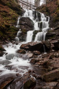 Karpat Dağları 'ndaki Sonbahar Ormanı' ndaki nehir. 