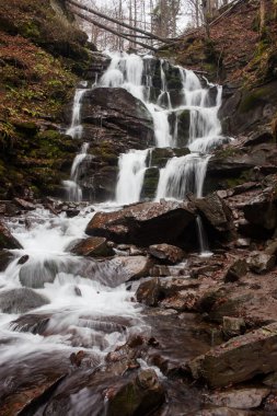 Karpat Dağları 'ndaki Sonbahar Ormanı' ndaki nehir. 