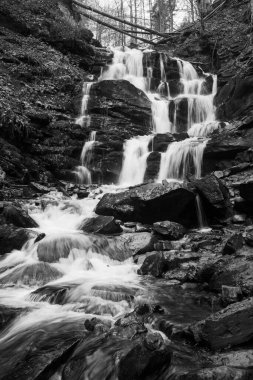 Karpat Dağları 'ndaki Sonbahar Ormanı' ndaki nehir. 