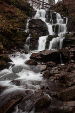 Karpat Dağları 'ndaki Sonbahar Ormanı' ndaki nehir. 