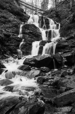 Karpat Dağları 'ndaki Sonbahar Ormanı' ndaki nehir. 
