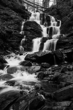 Karpat Dağları 'ndaki Sonbahar Ormanı' ndaki nehir. 