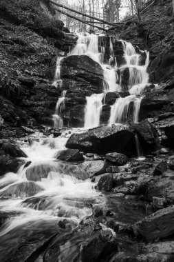 Karpat Dağları 'ndaki Sonbahar Ormanı' ndaki nehir. 