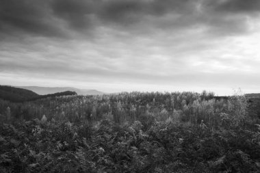 Karpat Dağları, Ukrayna 'nın güzel manzarası