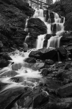 Karpat Dağları 'ndaki Sonbahar Ormanı' ndaki nehir. 