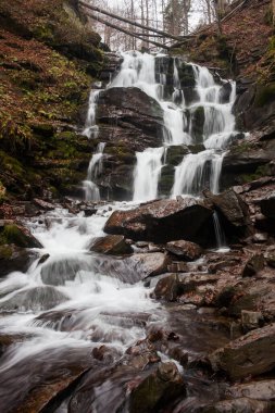 Karpat Dağları 'ndaki Sonbahar Ormanı' ndaki nehir. 