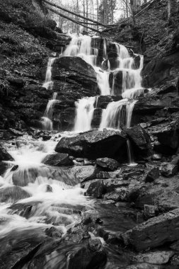 Karpat Dağları 'ndaki Sonbahar Ormanı' ndaki nehir. 