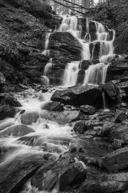 Karpat Dağları 'ndaki Sonbahar Ormanı' ndaki nehir. 