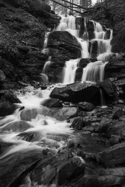 Karpat Dağları 'ndaki Sonbahar Ormanı' ndaki nehir. 