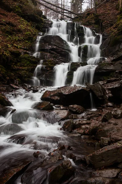 Karpat Dağları 'ndaki Sonbahar Ormanı' ndaki nehir. 