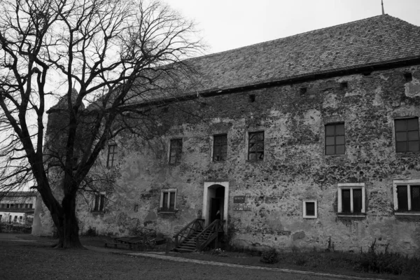 Kasteel Miklosh Chinadievo Ukraïne — Stockfoto