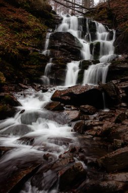 Karpat Dağları 'ndaki Sonbahar Ormanı' ndaki nehir. 
