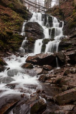 Karpat Dağları 'ndaki Sonbahar Ormanı' ndaki nehir. 